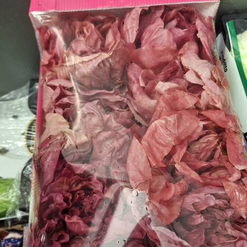 Insalata Radicchio variegato rosa
